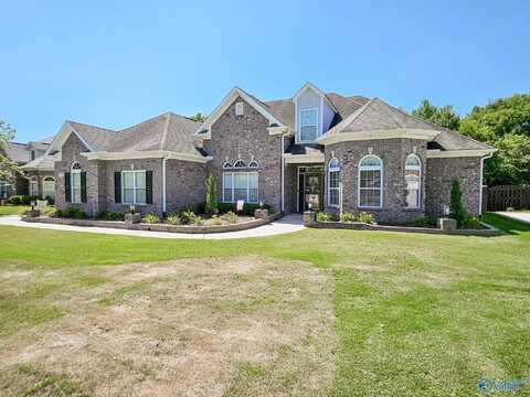 132 Mystic Arbor Drive, Harvest, AL 35749