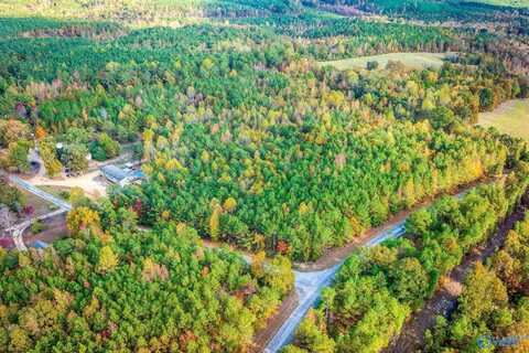 13.17 Fire Creek Cut Road, Guin, AL 35563