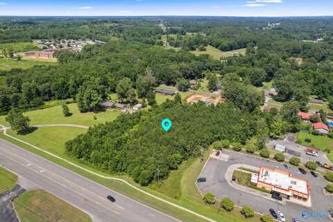 Lot 1 Highway 31 S, Hanceville, AL 35077