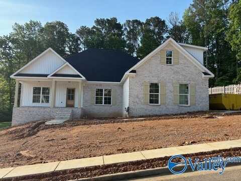 163 Santa Maria Drive, Huntsville, AL 35811