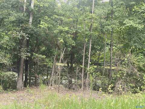 63 Acres County Road 20, Crossville, AL 35962