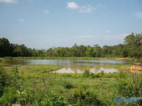 310 County Road 530, Collinsville, AL 35961