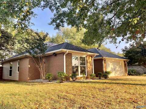 109 Telluride Drive, Madison, AL 35758