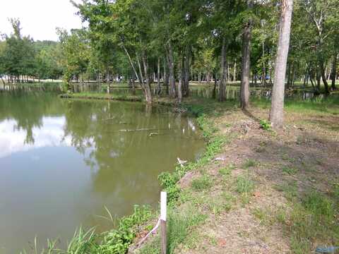 Lot 20 County Road 182, Cedar Bluff, AL 35959