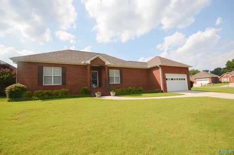 2974 Phelan Cir, Hanceville, AL 35077