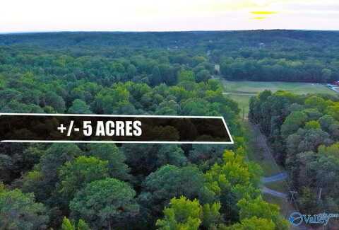 5 +/- Acres Chapel Hill Road, Decatur, AL 35603