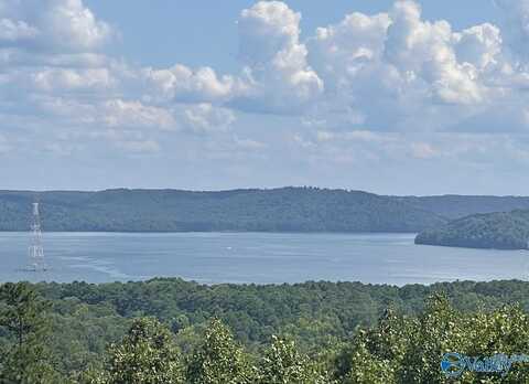 48 Ac Mccorkle Mountain Road, Scottsboro, AL 35769