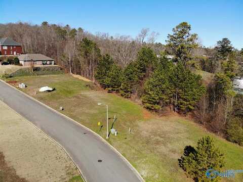 21 Waterfront Street, Guntersville, AL 35976