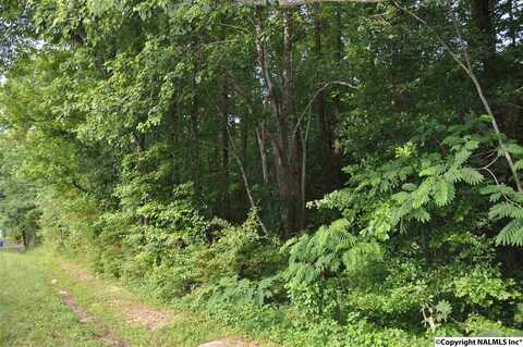 19 Acres 12th Street, Arab, AL 35016