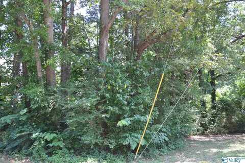 Lot 9-19 2nd Avenue, Arab, AL 35016