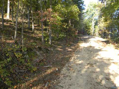 Lot 6 County Road 594, Leesburg, AL 35983