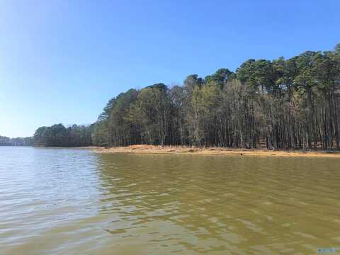 Lot 17 Little River Landing, Cedar Bluff, AL 35959