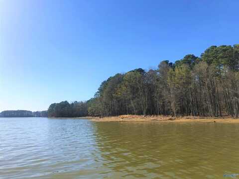 Lot 19 Little River Landing, Cedar Bluff, AL 35959