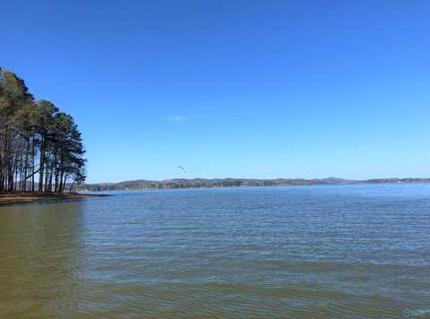 Lot 13 Little River Landing, Cedar Bluff, AL 35959