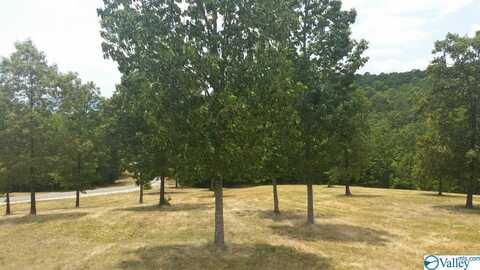 Lot 47 County Road 767, Cedar Bluff, AL 35959