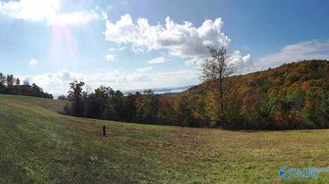 Lot 50 County Road 767, Cedar Bluff, AL 35959