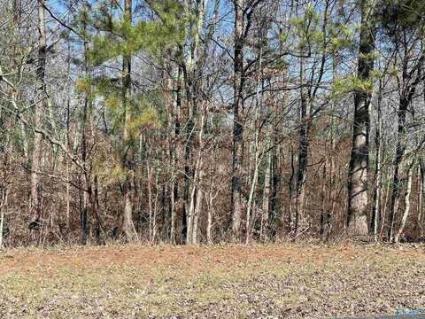 Lot 19 Lot 19 Deer Walk, Guntersville, AL 35976