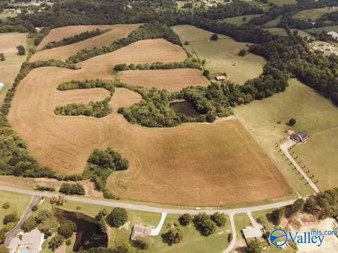 73 Acres Lane Switch Road, Albertville, AL 35950