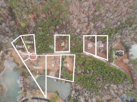 Tract 2 Lakeside Drive, Rainbow City, AL 35906