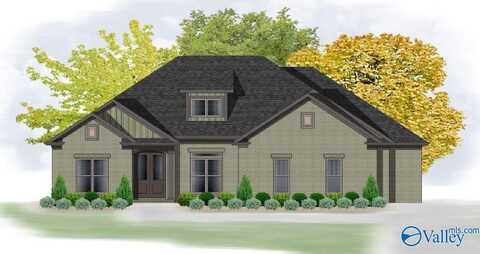 Jordan Plan Buckleberry Boulevard, Madison, AL 35756