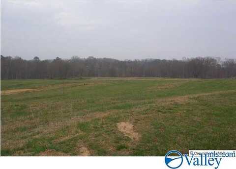 35 Ac Ellis Road, Boaz, AL 35957