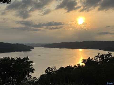 47 Treetop Drive, Guntersville, AL 35976