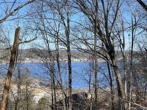 14 Ac Jackson Trail, Guntersville, AL 35976