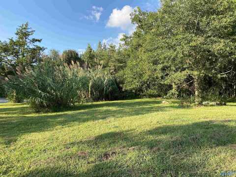 3568 Hopewell Road, Arab, AL 35016