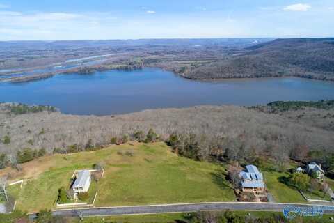 Lot 87 Woolum Street, Pisgah, AL 35765