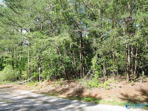 64 Timber Line Court, Jasper, AL 35504