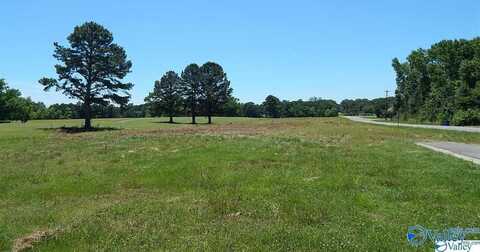 Lots 9-20 Haynes Road, Arab, AL 35016