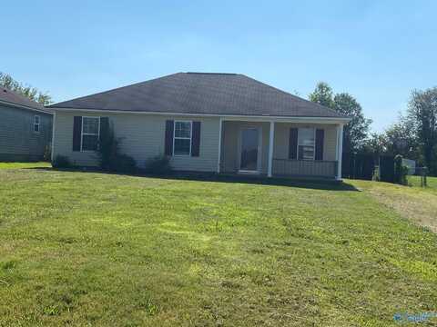 166 Stafford Road, Hazel Green, AL 35650