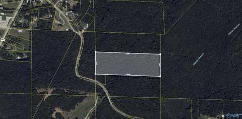 13.3 Acres County Road 261, Town Creek, AL 35672