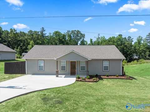 2901 County Road 587, Hanceville, AL 35077