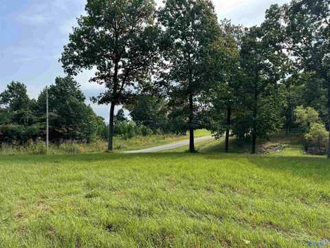 113 High Bluff Drive, Gurley, AL 35748