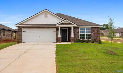 14163 Nursery Drive, Athens, AL 35611