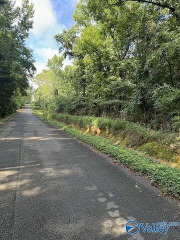 3.07 Acres Pine Drive, New Market, AL 35761