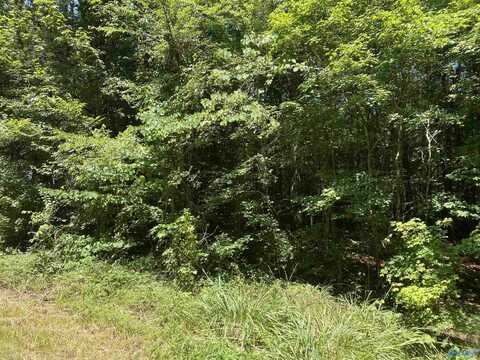 23 Acres Tanglewood Trail, Hokes Bluff, AL 35903