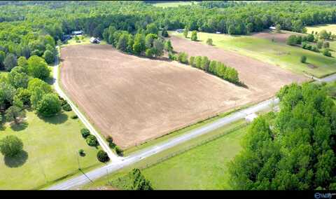 1323 County Road 49, Section, AL 35771