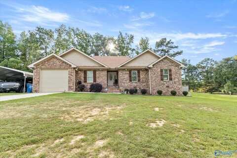 42 Tessa Circle, Albertville, AL 35950