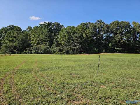 13891 Hatchie Lane, Athens, AL 35611