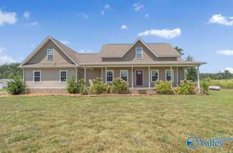 3361 County Road 123, Henagar, AL 35978