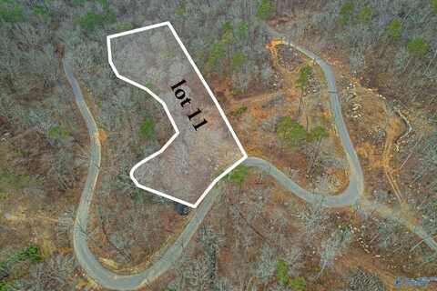 2886 Wyeth Drive, Guntersville, AL 35976