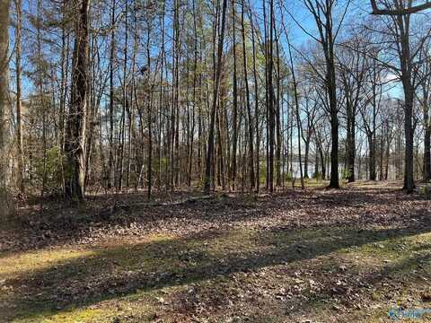 Lot 11 Barnett Road, Rogersville, AL 35652