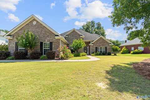 3116 Tenker Creek Lane SE, Owens Cross Roads, AL 35763