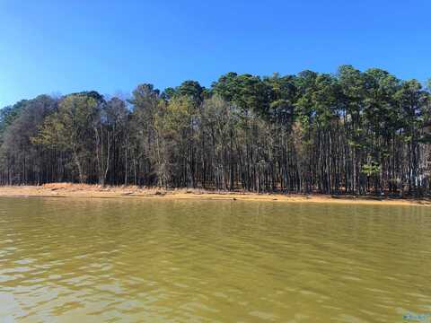 Lot 10 Little River Landing, Cedar Bluff, AL 35959