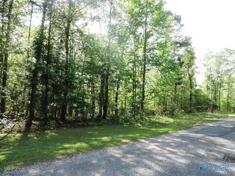 69 Timber Line Court, Jasper, AL 35504