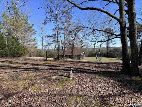 726 Mantachee Trail, Hamilton, AL 35570