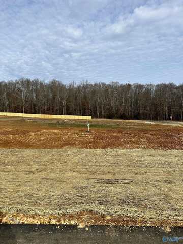 Lot 1 Saban Lane, Athens, AL 35613