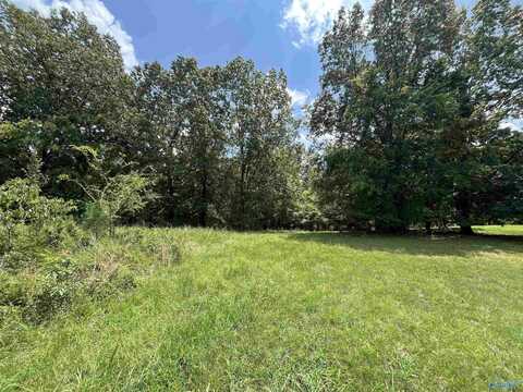 219 Lot Lookout Mountain Drive, Scottsboro, AL 35769